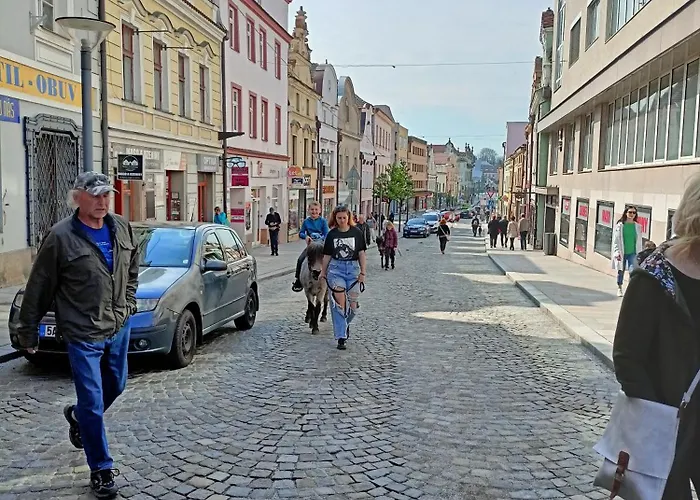 Lejlighed Hb Havlíčkŭv Brod